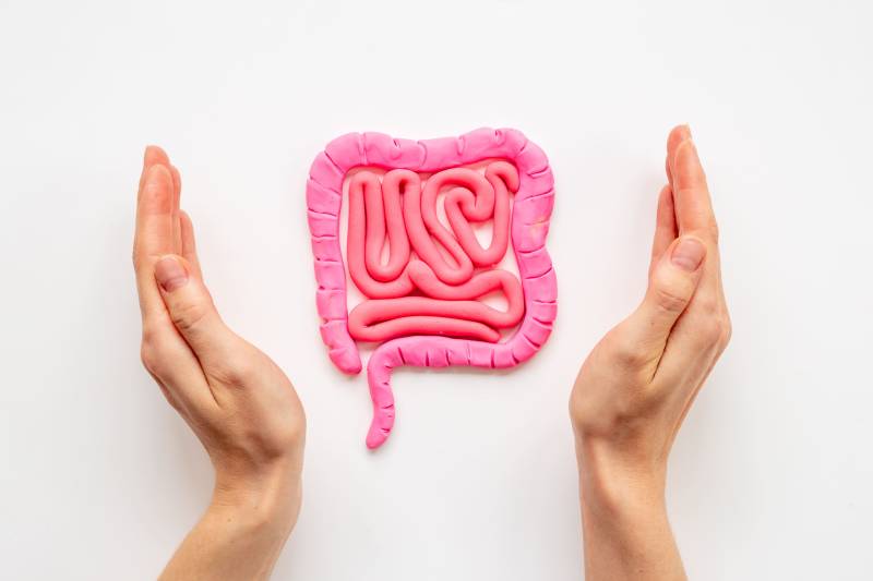 Traiter le syndrome de l’intestin irritable ou une paroi intestinale poreuse à Lyon