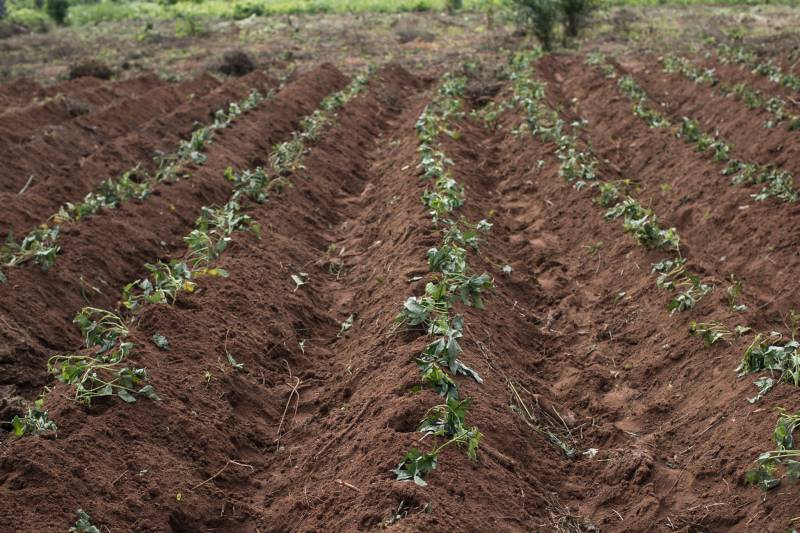 Quelles sont les meilleures farines sans gluten pour réaliser du pain maison à Orange dans le Vaucluse?