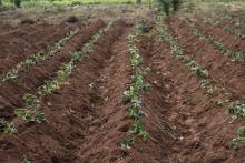 Notre zone d'activité pour ce service Vente de farines pour les personnes intolérantes au lactose